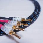 ti- H labo спикер-кабель DH Labs Q-10 signature Bi-wire 3.0m пара усилитель сторона Y SP сторона Y