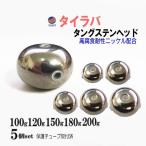 タングステン (無塗装 100g 120g 150g 180g 200g 各1個) シルバー タイラバ ヘッド 鯛ラバ シンカー 保護チューブ装着済 オモリ