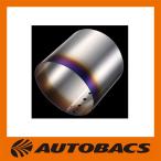 アペックスチタンスライドフィニッシャー115Φテール用汎用タイプ155-A031