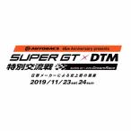 SGT×DTM特別交流戦ARTAファンシートチケット(大人)