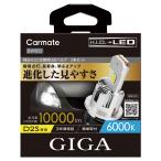 【在庫有】CARMATE カーメイト GIGA LEDヘッドバルブ BW903 D10/6000K/D2S