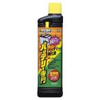プロスタッフ PROSTAFF バッテリー専門 250ml