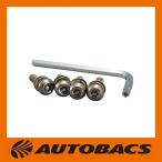  противоугонное болт 2 PZ-543