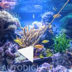  водоросли аквариум для аквариум men ta наан sso il уборка аквариум лопатка профессиональный Sand flata-32cm из нержавеющей стали низ песок расположение красивый целый . лопатка AU236