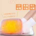 フットウォーマー USB 足元ウォーマー 足元ヒーター 足温器 足入れヒーター USB給電 USB電源 もこもこ あったかグッズ グレー モバイルバッテリー ホットマット