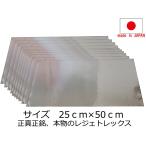 即納 日東電工製 レジェトレックス 制振シート 250×500mm 10枚（ばら売り）