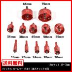 バイメタル ホールソー ホルソー 12本 セット 18〜75mm 穴あけ チャック 式 DIY 工具