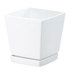 kenchi low pot тарелка есть 6 номер 1.4L белый Yamato 72169 DIY инструмент двор садоводство горшок посадочная машина 