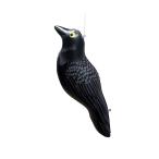  птица ..kalas дракон . круг K-904