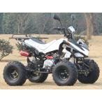 四輪バギー50cc（キット）ATV前進3速バック付ナンバー公道走行可 新車SB50HW-Kキット商品（90％組立済み）西濃運輸営業所止めまで無料配送