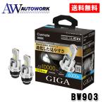  Carmate GIGA BW903 LED head клапан(лампа) D10 6000K D2S