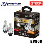  Carmate GIGA BW906 LED head клапан(лампа) D10 4500K D4S