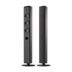 Ace 50 [B: черный ] PIEGA [piega] tallboy динамик [ пара ] [ прием заказа departure примечание ]