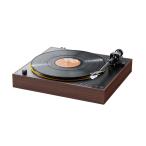 TT11 Brown [FIO-TT11-BR] FIIO [fi-o] аналог запись плеер 
