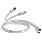 Signature Audio 40 [ 1m ] QED ( кий i-ti-) RCA кабель 