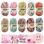 全色セット　フェルナウール『バレンタインカラー』　4PLY  中細タイプ　10色　ソックヤーン　編み物　毛糸■【C4-12-125-5】