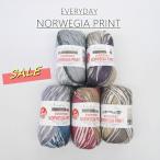 * ограниченное количество *[ внутри глициния коммерческое предприятие NASKA] EVERYDAY NORWEGIA PRINT Every teinoru way jia принт осень-зима специальная цена ***[C4-12]