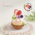 PCC-1 [SUNFELT] шерсть . произведение . конфеты игольница [ клубника ] Designed by CoCoPo [ заказ товар ][C3-8-110-1]U-NG