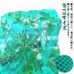  веранда птица .. сеть меры фруктовое дерево .. птица .. сеть птица .. птица .. товары поле hi Yodo li фруктовое дерево . защита от птиц сеть szme веранда зона для выброса мусора - toka