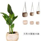 ȭ  ץ󥿡 ݥå ȭ ʥ ŷ  ȭ տʪ  ƥꥢ ߷ ݷ ɳݤ ̲ ץ󥿡  