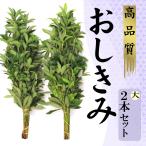 o.. живые цветы. .... просо большой (80cm)2 пачка комплект . три ... нет . - нет ba