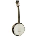 ARIA SB-10G -Guitar Banjo- ギター バンジョー 6弦 レモヘッド 送料無料 アウトレット