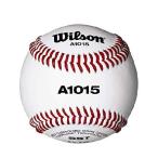 WILSON High School Play Baseball (12)