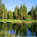 ショッピングreflection Posterazzi Reflection of trees on water Edgewood Tahoe Golf Course Stateline Douglas County Nevada USA Poster Print, (24 x 24)