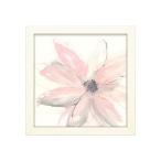 ショッピングクレマチス トレードマークファインアート「ブラッシュクレマチスI」フレームアートクリス・パシュケ作16x16