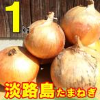 新たまねぎ 淡路島 送料無料 2019年産 特産 玉ねぎ 1kg お試し