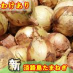 たまねぎ 淡路島 特産 2025年産 玉ねぎ 2kg わけあり 送料無料
