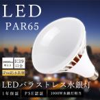 LED電球 E39口金 1000W形相当 PAR65 散光形 100W 20000lm 超高輝度 IP66防水 LEDスポットライト LEDビーム電球 屋内外兼用 看板用ライト 防犯灯 工場 倉庫照明