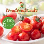 【白たまねぎ2kgおまけ付】淡路島産 高糖度ミニトマト トマトマトマト 150g×6パック 農家直送 甘い プチトマト