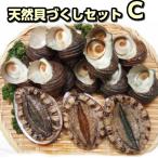 [ бесплатная доставка ]. морское ушко .. Sazae. натуральный .. расческа комплект [C][ Hokkaido * Okinawa. доставка отдельно .800 иен ][ подарок на Bon Festival ][ подарок ]