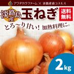  Awaji Island производство ..... шар лук порей пробный 2kgawajikala ферма прямая поставка 