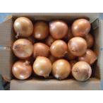  Awaji Island шар лук порей 5kg 2025 год производство * регион ограничение бесплатная доставка . доставим!