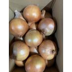  Awaji Island шар лук порей 2.5kg 2025 год производство * регион ограничение бесплатная доставка . доставим!