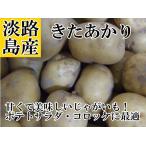 淡路島産じゃがいも きたあかり５kg 2023年産＊地域限定送料無料でお届けいたします！