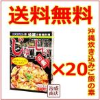 じゅーしぃの素 オキハム 沖縄ハム 180g 20個セット