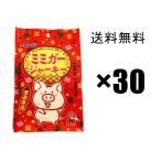 ミミガージャーキー 23g 30袋セット 1ケース 珍味 お菓子 沖縄ハム オキハム
