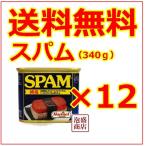 ショッピング沖縄 スパム SPAM 減塩ポークランチョンミート 12缶 沖縄お土産　