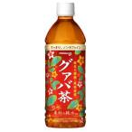 沖縄ポッカ　グァバ茶５００PET　１