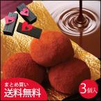 バレンタイン チョコ 2023 ギフト 義理 お菓子 チョコレート プチギフト 退職 お菓子 まとめ買い しょこら餅 3入 生チョコレート 大量