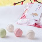 プチギフト お菓子 退社 退職 個包装 大量 阿波和三盆糖 干菓子 お年賀 2025 阿波和三盆糖 鈴型 お返し 婚礼
