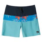 Quiksilver( Quick Silver ) SURFSILK PANEL 20 спортивные шорты мужской AQYBS03635(EC)