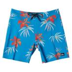 Quiksilver( Quick Silver ) SURFSILK STRAIGHT LEG 19 спортивные шорты мужской AQYBS03646(EC)