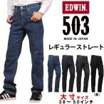 10%OFF 38〜50インチEDWIN 