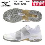  Mizuno ue-b дайвер sLG LITE фитнес обувь унисекс 26SS белый 31GF260201 WAVE DIVERS. покупка 