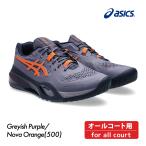 ASICS гель rezo дракон shon тонн все пальто 1041A481-500 2025SS мужской теннис GEL-RESOLUTION X