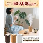 加湿器 小型 卓上 大容量 320ML 除菌 アロマ対応 LEDライト 超音波式 静音 自動停止機能 空焚き防止 お手入れ簡単 デスク 寝室 オフィス 車用 リビング USB式